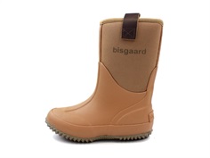 Bisgaard